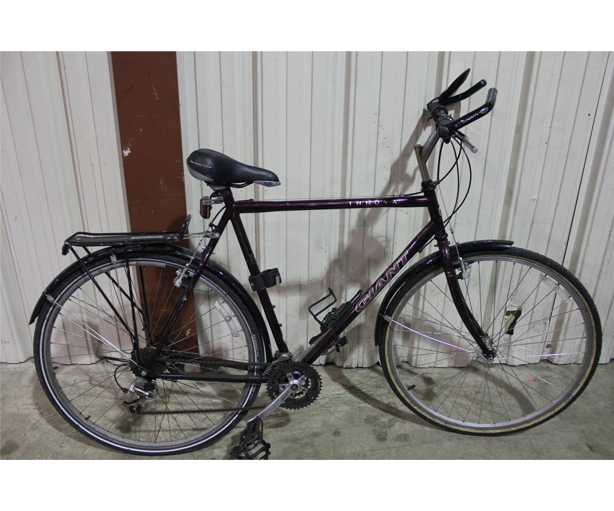 RED GIANT INNOVA 21 SPD MTN BIKE