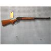Image 1 : Marlin