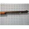 Image 4 : Marlin