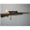 Image 1 : SAVAGE, AXIS, 223, BOLT ACTION, BUSHNELL SCOPE