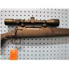 Image 3 : SAVAGE, AXIS, 223, BOLT ACTION, BUSHNELL SCOPE