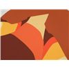 Image 2 : Doug Danz Signed Modern Southwest Print Proof Terra IV