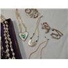 Image 3 : 12 ASSORTED SHELL NECKLACES