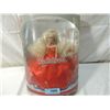 Image 2 : ICE PRINCESS TOTSY DOLL IN ORIGINAL BOX