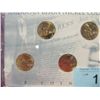 Image 2 : AMERICAN BISON NICKEL COLLECTION