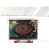 Image 1 : 2007 UPPERDECK CHANSI STUCKEY PIGSKIN SIGS CARD