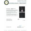 Image 6 : 14KT White Gold 0.90ctw Diamond Pendant With Chain
