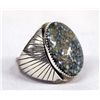 Image 1 : Navajo Silver Turquoise Ring by Largo, Size 13.25