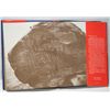 Image 3 : Hopi by Susanne and Jake Page Hardback Book