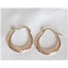 Image 1 : 14K Rose Gold Hoop Pierced nEarrings