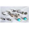 Image 2 : Collection 6 Pr  Earrings, Some  Native American