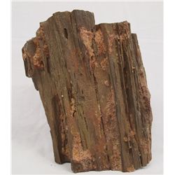 Middle Eastern Petrified Wood Specimen
