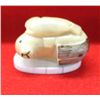 Image 2 : Tagua Nut Seal & Pup Carving atop Bone Ivory Base