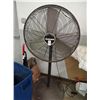 Image 1 : Lakewood Fan
