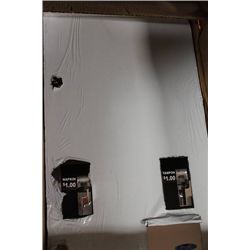 COIN OPERATED NAPKIN AND TAMPON DISPENSER