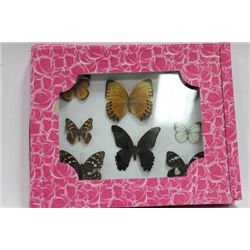 FRAMED 8 PC BUTTERFLY SET