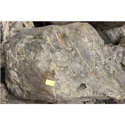 LARGE PIECE OF PETRIFIED WOOD AS THEY COME