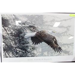 RON PARKER THROUGH THE FIRS FRAMED EAGLE PRINT