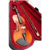 Image 1 : VIOLIN 4/4 NEW CASE & BOW