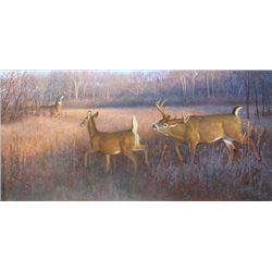 Original Oil Painting by Hayden Lambson “Like Bees to Honey”