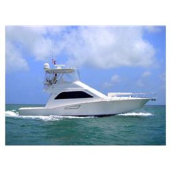 Florida-style Surf and Swamp: Gators and Grouper!