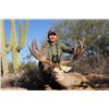 Image 1 : 7-Day Sonora, Mexico Mule Deer Hunt