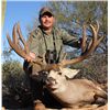 Image 2 : 7-Day Sonora, Mexico Mule Deer Hunt