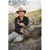 Image 1 : 7-Day Sonora, Mexico Coues’ Whitetail Deer Hunt