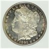 Image 2 : 1881-CC MORGAN DOLLAR ANACS MS-64