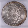 Image 2 : 1881-O MORGAN DOLLAR ICG MS-64