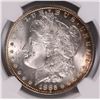 Image 2 : 1885 MORGAN DOLLAR NGC MS-65