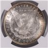 Image 3 : 1885 MORGAN DOLLAR NGC MS-65