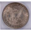 Image 3 : 1891-CC MORGAN DOLLAR ICG AU-55 SPITTING EAGLE VAM-3 TOP 100