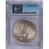 Image 4 : 1923-S PEACE DOLLAR ICG MS-64 WHITE NICE