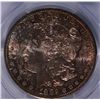 Image 2 : 1882-S MORGAN DOLLAR PCGS MS-64+
