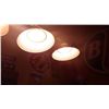Image 3 : 4 lamp hanging pool light