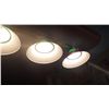 Image 3 : 4 lamp hanging pool light