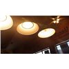 Image 3 : 4 lamp hanging pool light