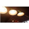 Image 3 : 4 lamp hanging pool light