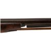 Image 5 : 19TH CENTURY BELGIAN MADE PERCUSSION SHOTGUN