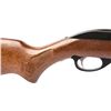 Image 3 : WESTPOINT MODEL 701 RIFLE 22LR