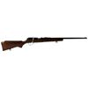 Image 1 : SEARS MODEL 42 BOLT ACTION .22 S-L-LR