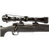 Image 2 : WINCHESTER MODEL 70 RIFLE 243