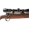 Image 2 : WINCHESTER MODEL 70 CARBINE 30-06