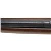 Image 10 : WINCHESTER MODEL 1907 CARBINE