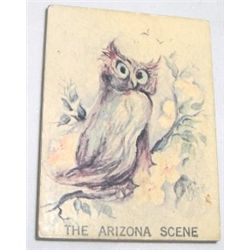 ARIZONA MAGNET *OWL*!! MAGNET CAME OUT OF SAFE!!