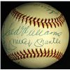Image 1 : 500 Home Run Club OAL Baseball Signed by (11) with Mickey Mantle, Ted Williams, Hank Aaron, Willie M