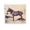 Image 9 : Lot of 9 old Western era photo postcards including  the Twenty Mule Team crossing the desert, an old