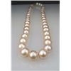 Image 2 : Gorgeous 10.00-11.00mm Natural Color Rose Pink  Pearls with wonderful luster, strand measures 18"  i