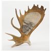 Image 1 : Excellent carved and scrimshawed Moose antler in  Eagle and Walrus designs; signed “D. Richards  Tra